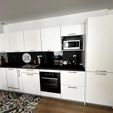 Le Ginkgo Biloba, 2p Wifi *